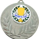 silver medal, trophy