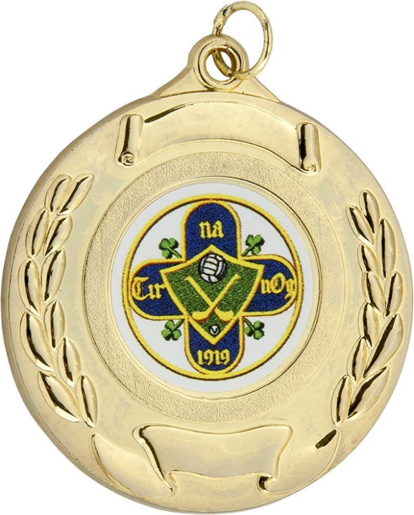 gold medal, hurling, gaelic football