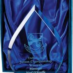 teardrop shape award, glass trophy