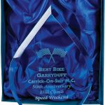 teardrop shape glass award