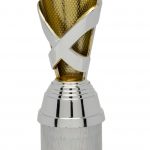 gold and silver trophy