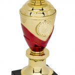 gold and red trophy bowl