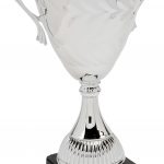 F432-106 41cm CUP