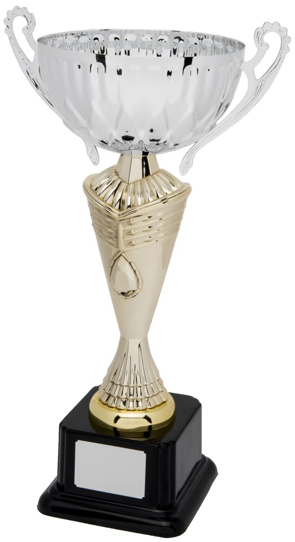 gold and silver cup trophy