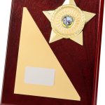 Wooden Plaque, gold star