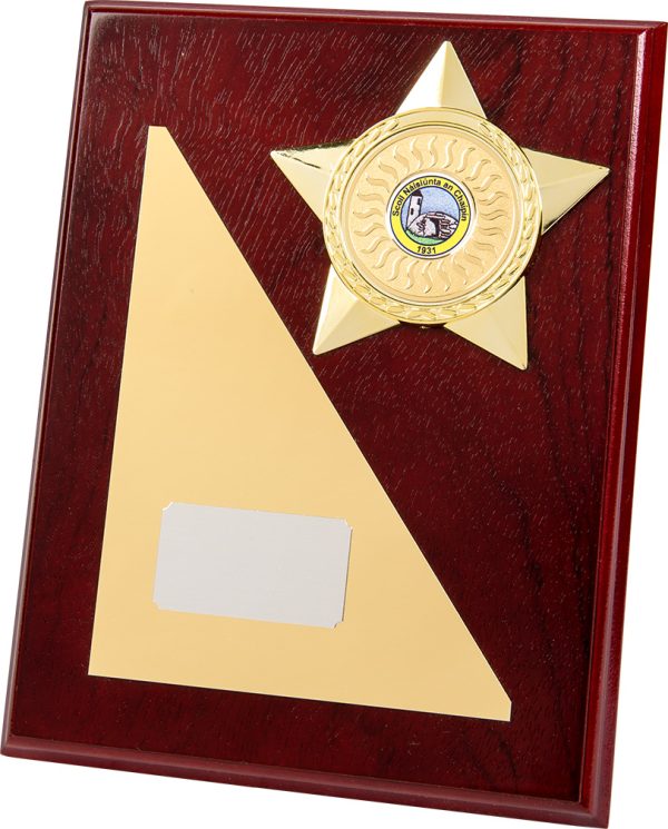 Wooden Plaque, gold star