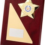 Wooden Plaque, gold plate, gold star