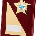 rectangle wood plaque, gold star