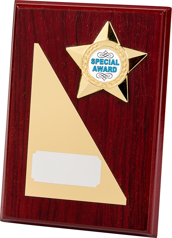 rectangle wood plaque, gold star