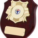 Dressed Shield plaque, wood