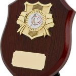 dancing award, wood shield plaque