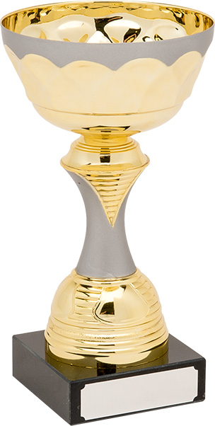 gold, matt silver trophy, bowl