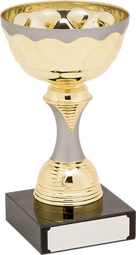 gold, matt silver trophy, bowl