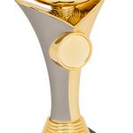 matt silver, gold bowl trophy