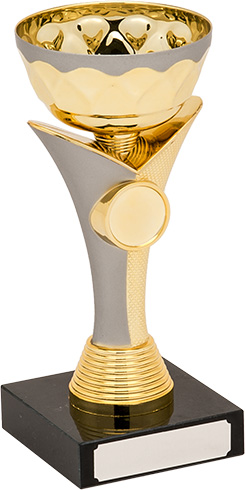 matt silver, gold bowl trophy