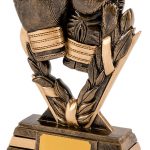 boxing gloves, trophy, award