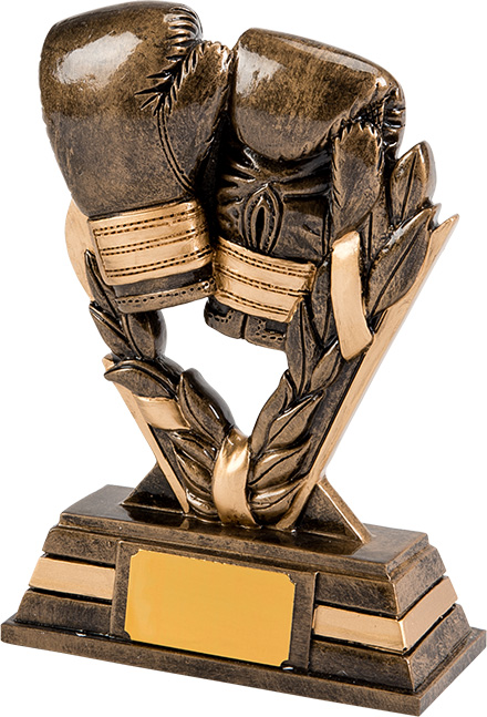 boxing gloves, trophy, award